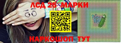 спиды Новодвинск